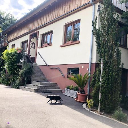 Gite Du Ried 比什维莱尔 外观 照片