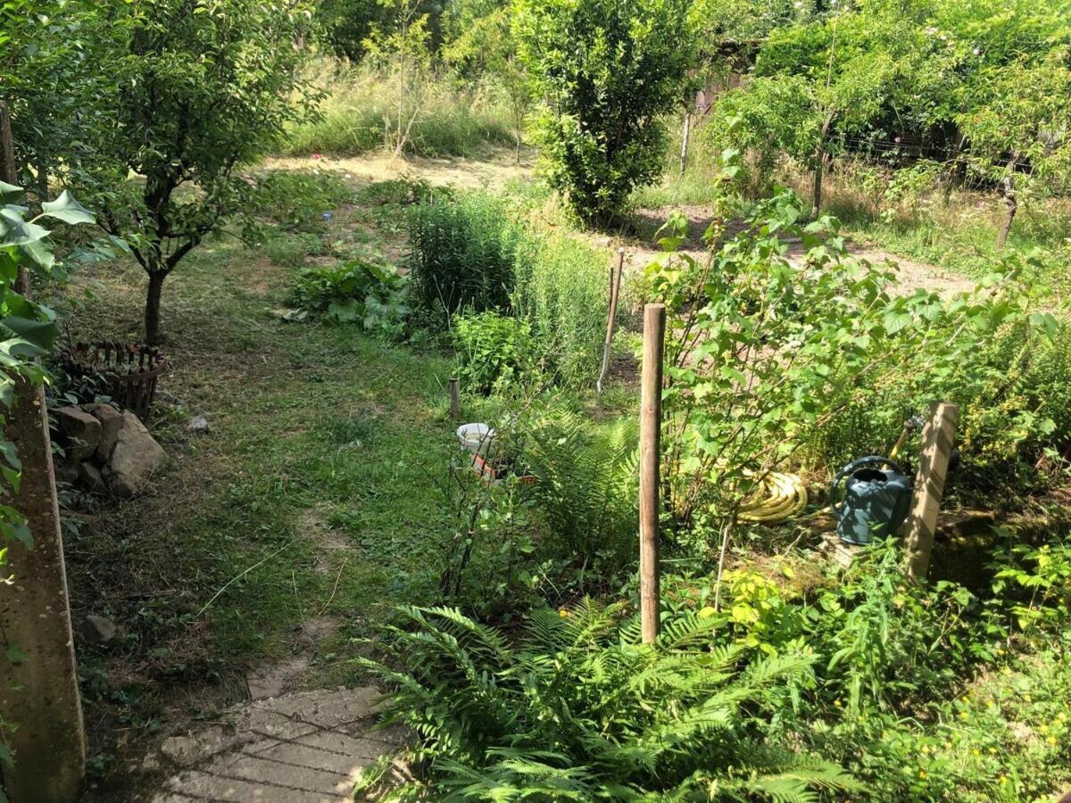 Gite Du Ried 比什维莱尔 外观 照片